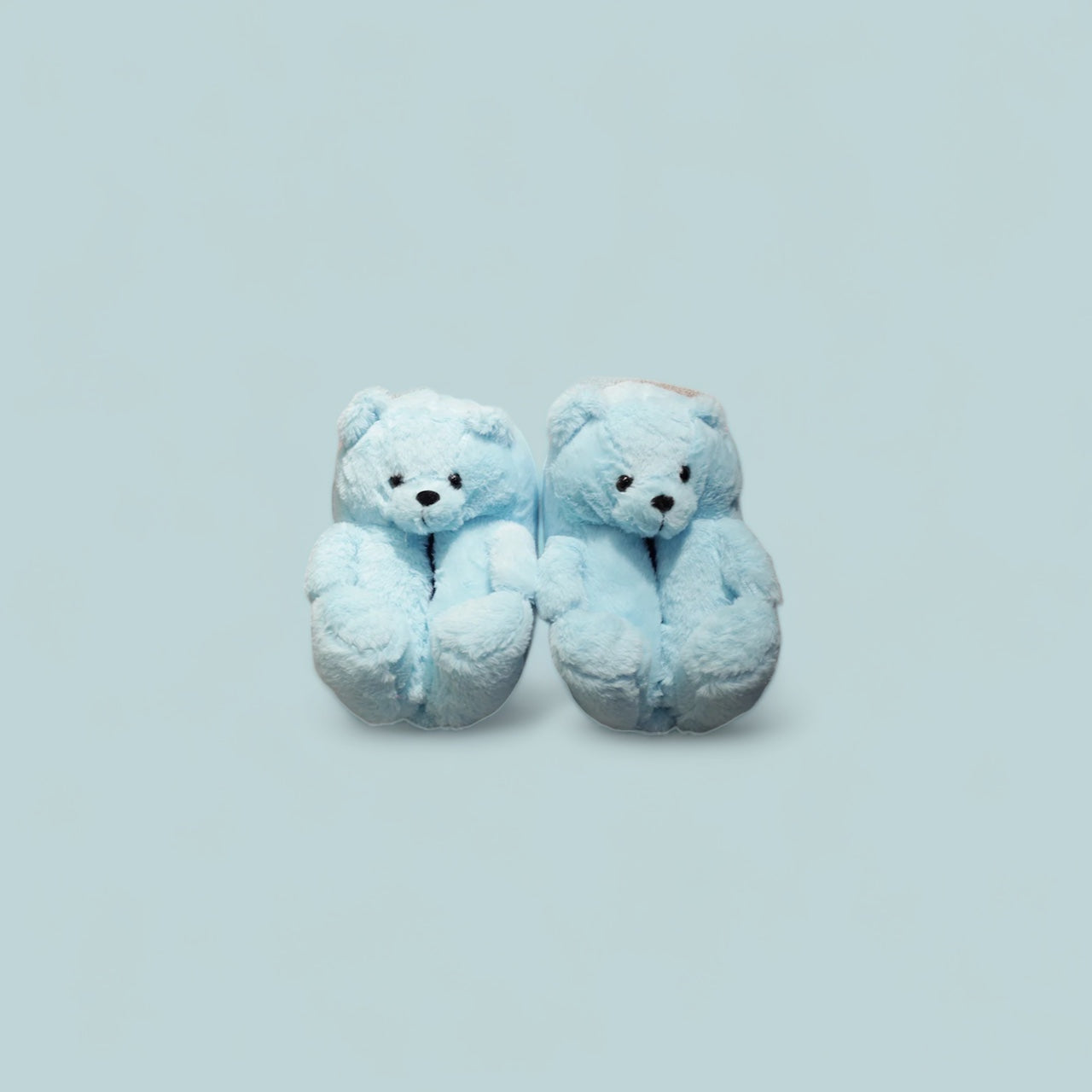 Teddy Slippers Pre order